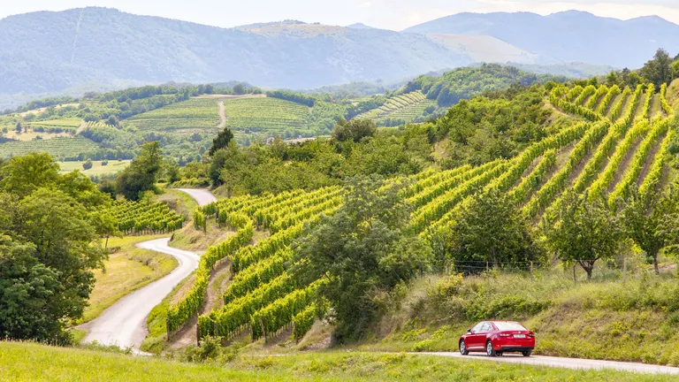 In Slovenia’s Vipava Valley, Sustainable Family-Run Wineries, Dining Rooms & Trails Abound-0