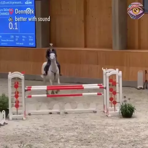 The horse needed a little boost to make every jump (turn your sound up!)-0