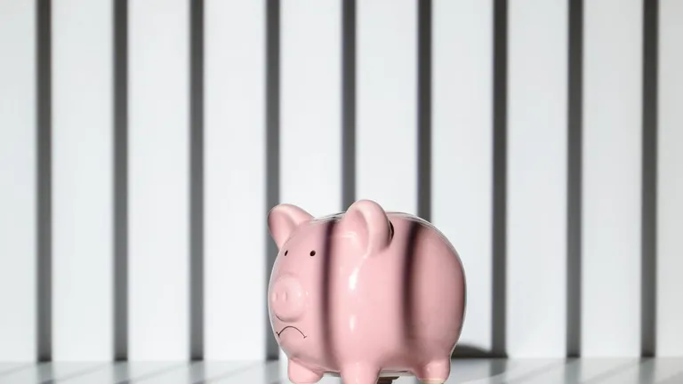  piggy bank penny bank hog pig grunter squealer Sus scrofa prison prison house soap dispenser-0