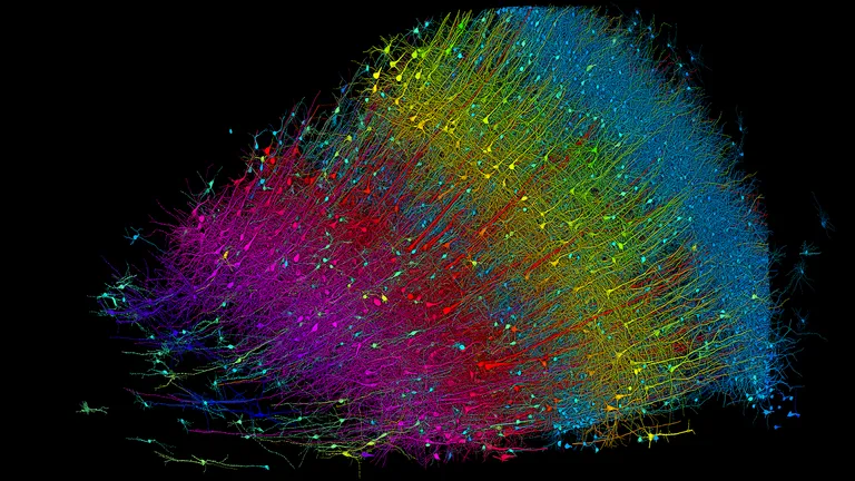 See the most detailed map of human brain matter ever created-0