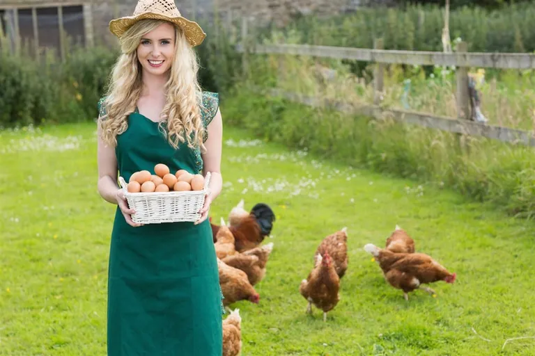  hen cock shopping basket cowboy hat ten-gallon hat-0