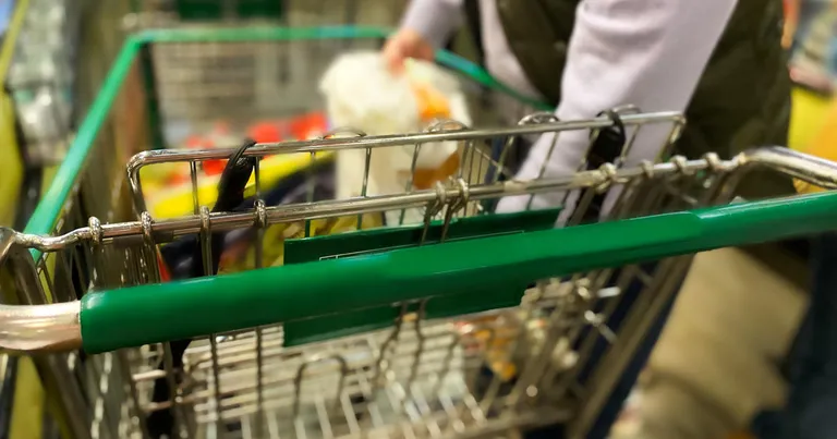  shopping cart shopping basket grocery store grocery food market market plastic bag-0