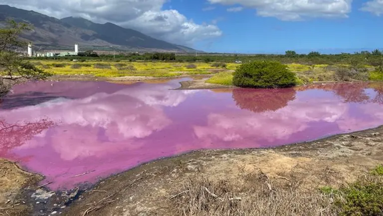  lakeside lakeshore volcano valley vale promontory headland head foreland-0