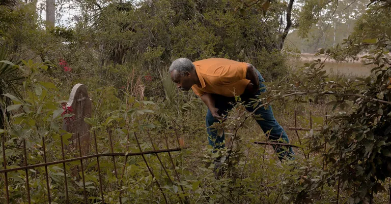  worm fence snake fence snake-rail fence Virginia fence chain saw chainsaw picket fence paling mailbox letter box-0