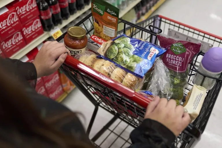  shopping cart shopping basket grocery store grocery food market market plastic bag-0