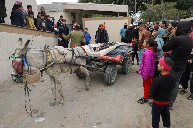  horse cart horse-cart stretcher oxcart sombrero-0