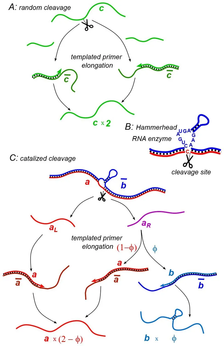  nematode nematode worm roundworm-0