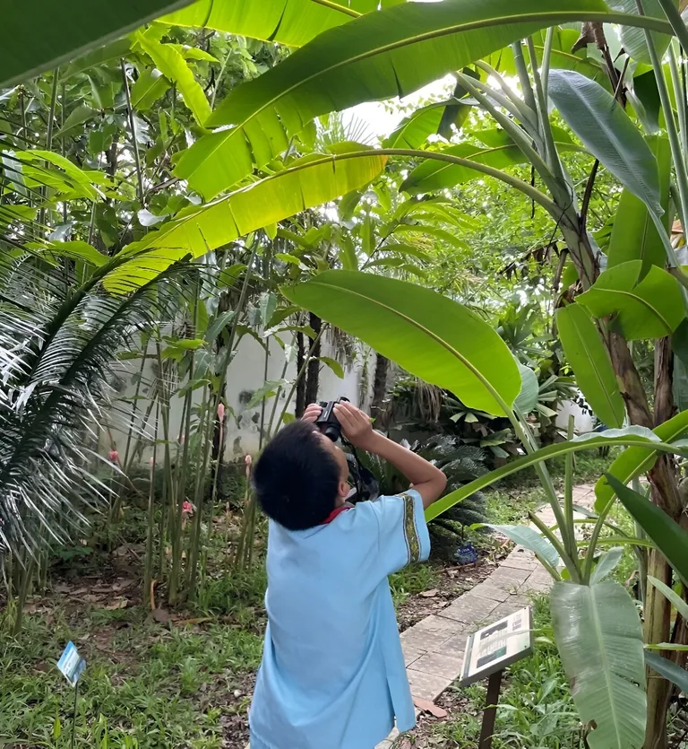  binoculars field glasses opera glasses banana greenhouse nursery glasshouse jackfruit jak jack-0