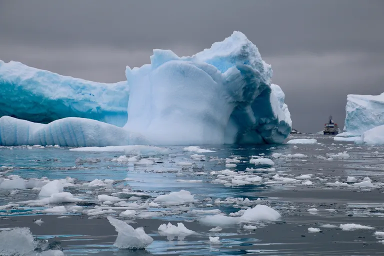  ice bear polar bear Ursus Maritimus Thalarctos maritimus king penguin Aptenodytes patagonica sea lion fireboat-0