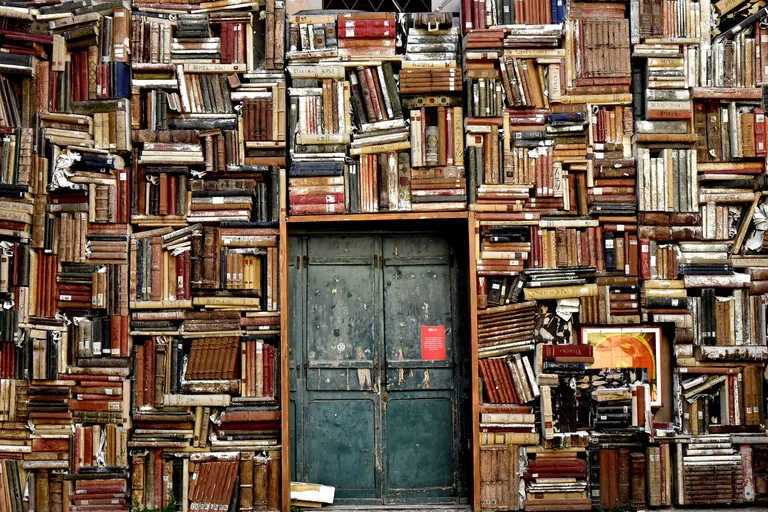  bookshop bookstore bookstall library bookcase tobacco shop tobacconist shop tobacconist-0