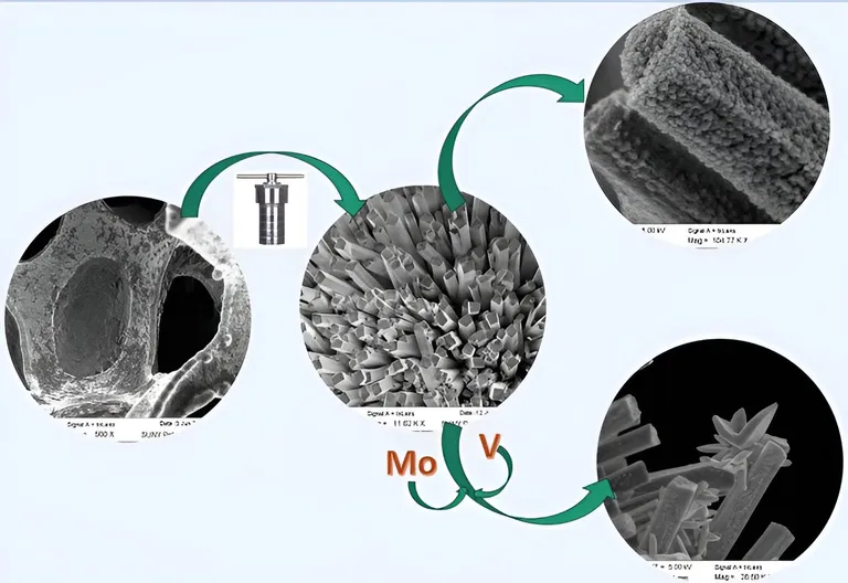  isopod web site website internet site site toilet seat nematode nematode worm roundworm-0