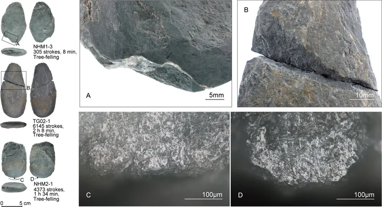  trilobite cliff drop drop-off megalith megalithic structure chiton coat-of-mail shell sea cradle polyplacophore-0