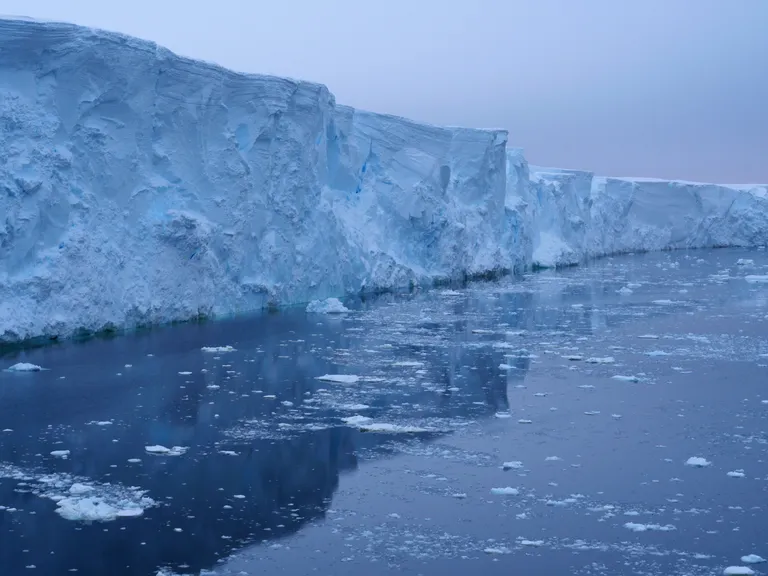  cliff drop drop-off lakeside lakeshore promontory headland head foreland ice bear polar bear Ursus Maritimus Thalarctos maritimus-0