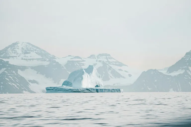  ice bear polar bear Ursus Maritimus Thalarctos maritimus lakeside lakeshore promontory headland head foreland alp-0