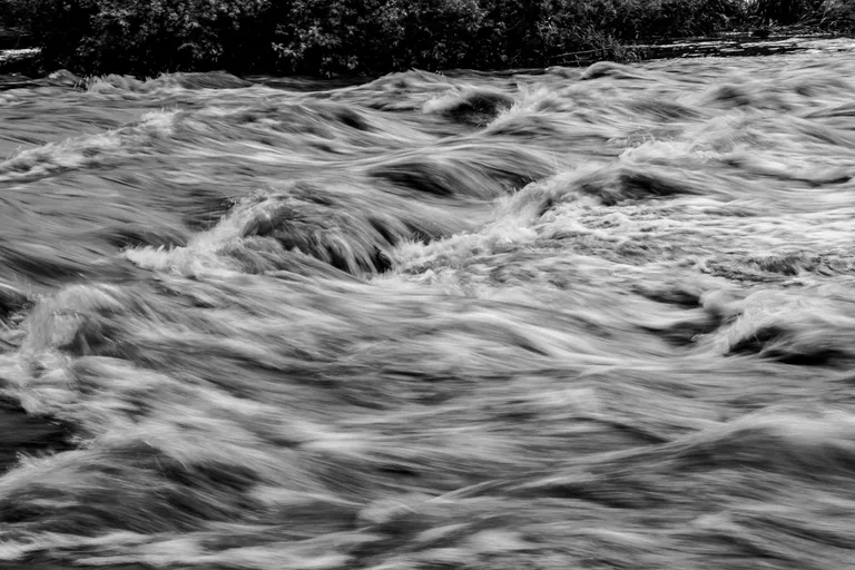  dam dike dyke lakeside lakeshore valley vale water ouzel dipper-0