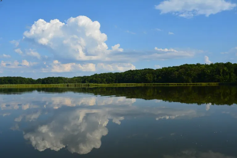  lakeside lakeshore sandbar sand bar seashore coast seacoast sea-coast canoe-0