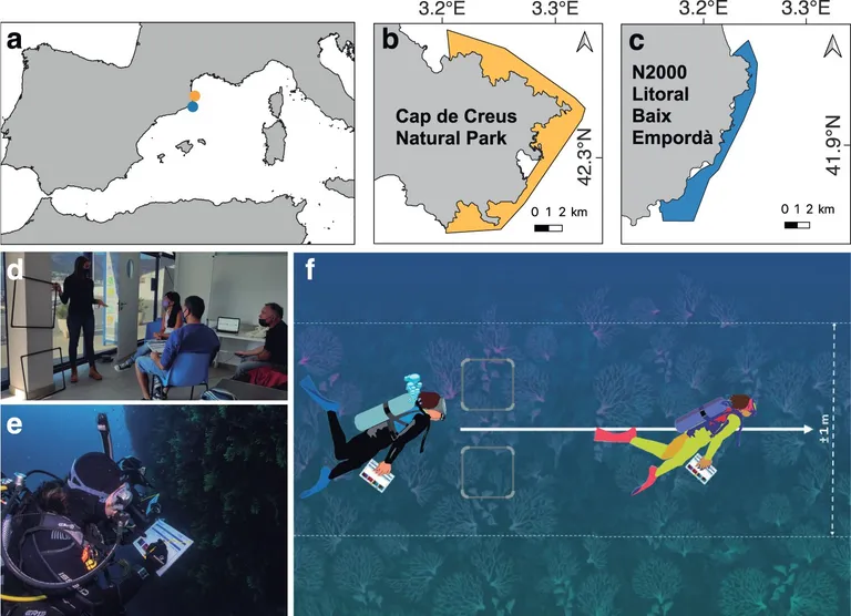  web site website internet site site scuba diver comic book horizontal bar high bar-0