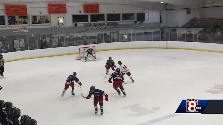  puck hockey puck scoreboard broom Windsor tie-0