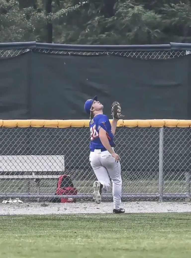  ballplayer baseball player baseball scoreboard worm fence snake fence snake-rail fence Virginia fence-0