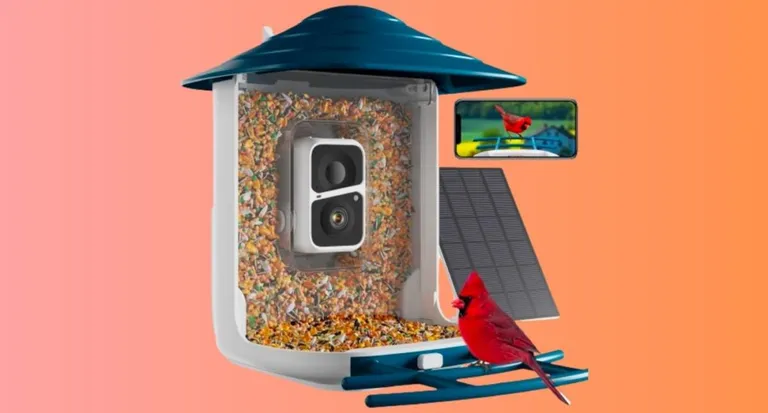  indigo bunting indigo finch indigo bird Passerina cyanea house finch linnet Carpodacus mexicanus birdhouse jay-0