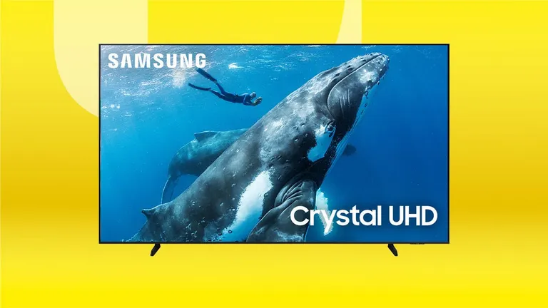  grey whale gray whale devilfish Eschrichtius gibbosus Eschrichtius robustus killer whale killer orca grampus sea wolf Orcinus orca web site website internet site site platypus duckbill duckbilled platypus duck-billed platypus Ornithorhynchus anatinus-0