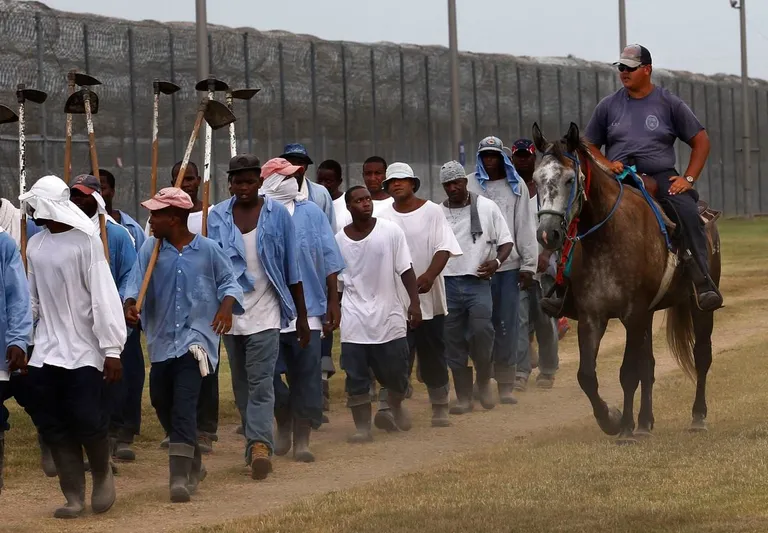  prison prison house worm fence snake fence snake-rail fence Virginia fence torch swab swob mop-0