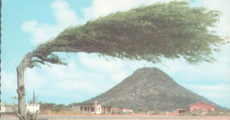  volcano thatch thatched roof seashore coast seacoast sea-coast sandbar sand bar-0