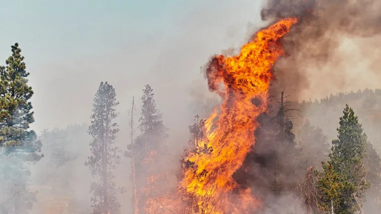  volcano geyser fire screen fireguard bison-0