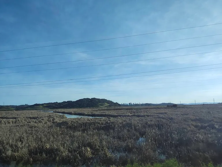  promontory headland head foreland sandbar sand bar lakeside lakeshore seashore coast seacoast sea-coast-0