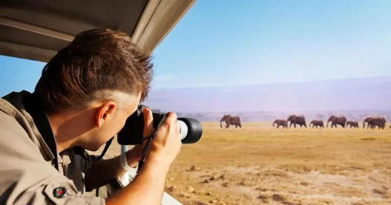  binoculars field glasses opera glasses tusker loupe jeweler's loupe African elephant Loxodonta africana-0