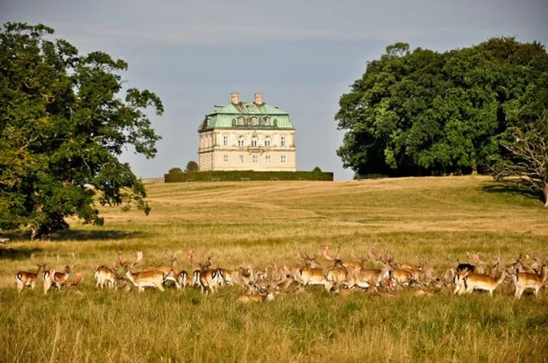  gazelle castle impala Aepyceros melampus palace-0