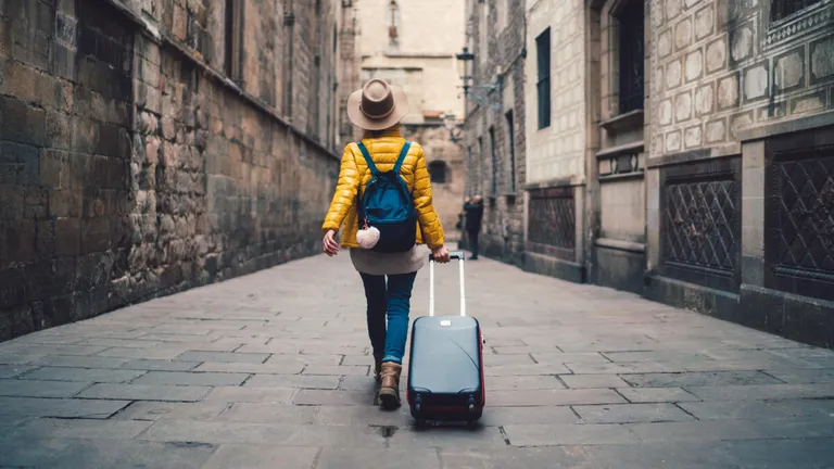  vacuum vacuum cleaner backpack back pack knapsack packsack rucksack haversack cowboy hat ten-gallon hat sombrero-0