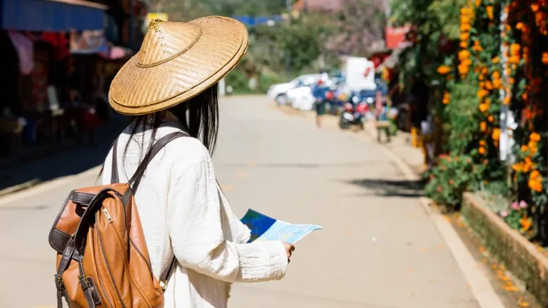  sombrero backpack back pack knapsack packsack rucksack haversack cowboy hat ten-gallon hat jinrikisha ricksha rickshaw-0