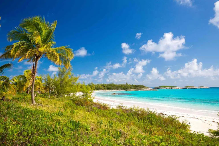  seashore coast seacoast sea-coast promontory headland head foreland sandbar sand bar coral reef-0