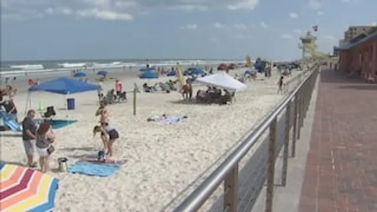  seashore coast seacoast sea-coast sandbar sand bar lakeside lakeshore umbrella-0