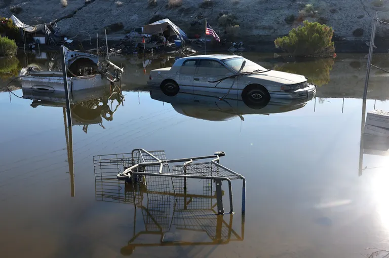  shopping cart shopping basket lakeside lakeshore boathouse-0